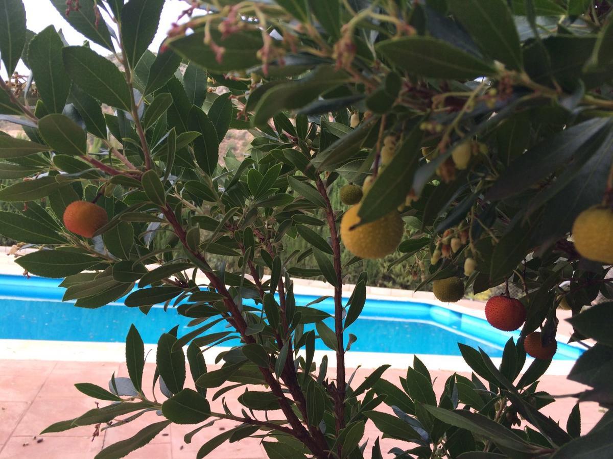 Villa La Quinta Priego de Córdoba Eksteriør bilde