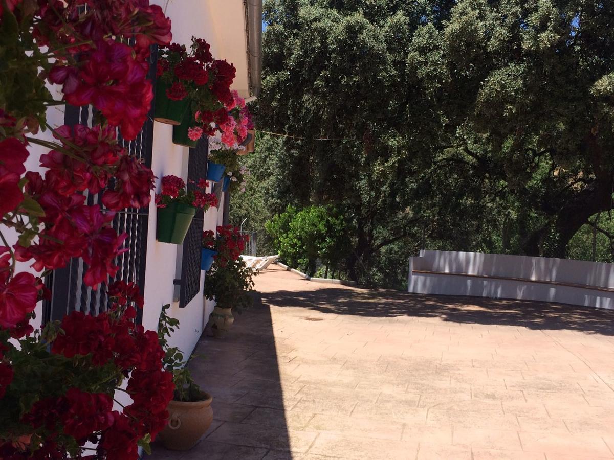 Villa La Quinta Priego de Córdoba Eksteriør bilde