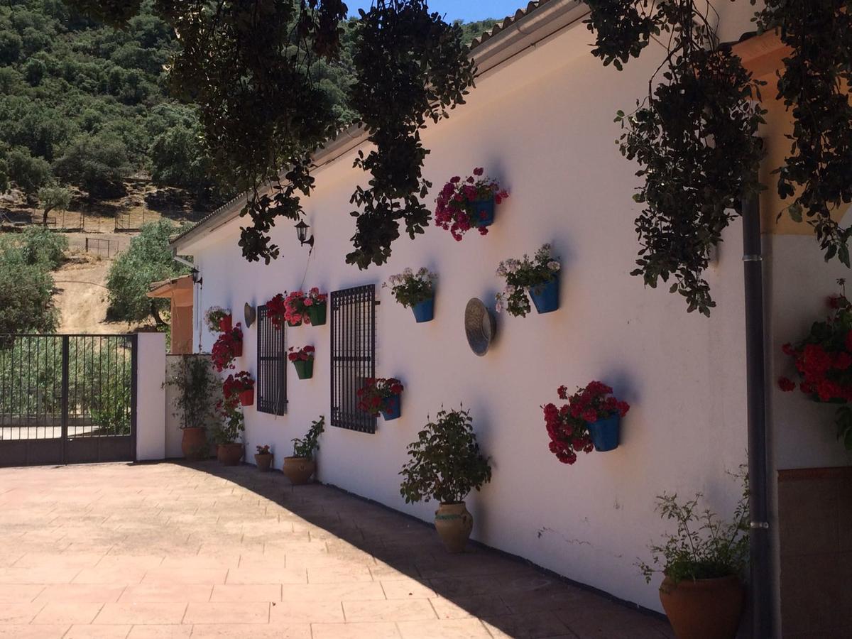 Villa La Quinta Priego de Córdoba Eksteriør bilde