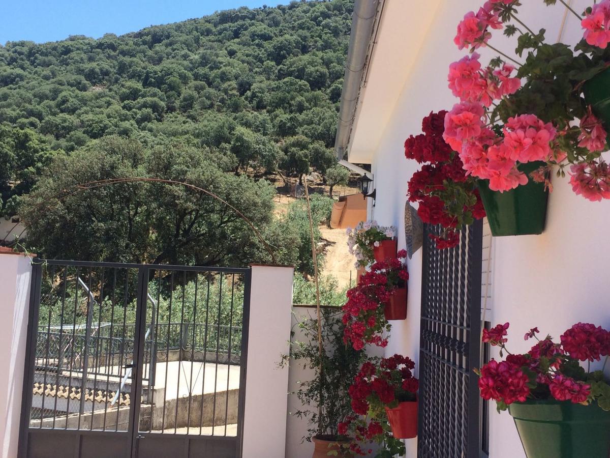 Villa La Quinta Priego de Córdoba Eksteriør bilde
