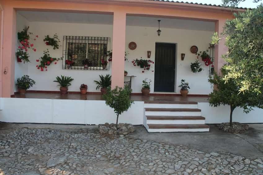 Villa La Quinta Priego de Córdoba Eksteriør bilde